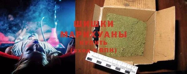 шишки Алзамай