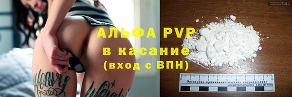 сатива Новозыбков