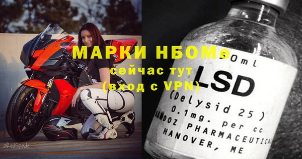 шишки Алзамай