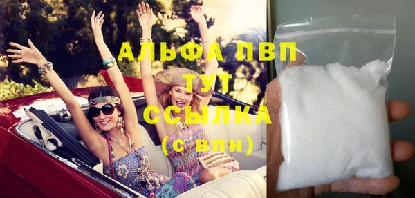 стаф Новодвинск