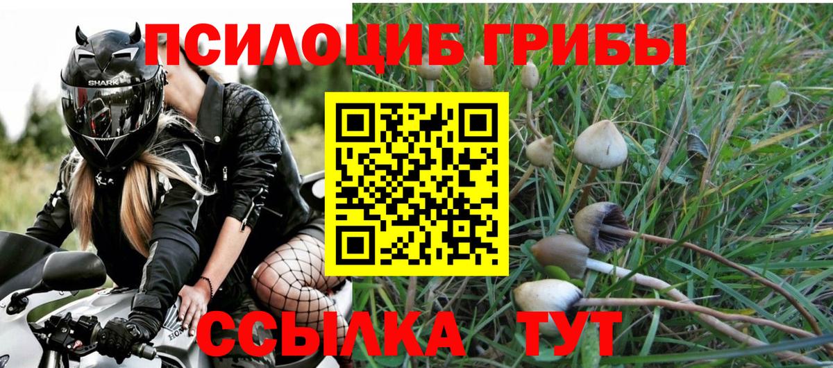 Евпатория  Псилоцибиновые грибы мухоморы  Галлюциногенные грибы мухоморы  Вход с VPN 