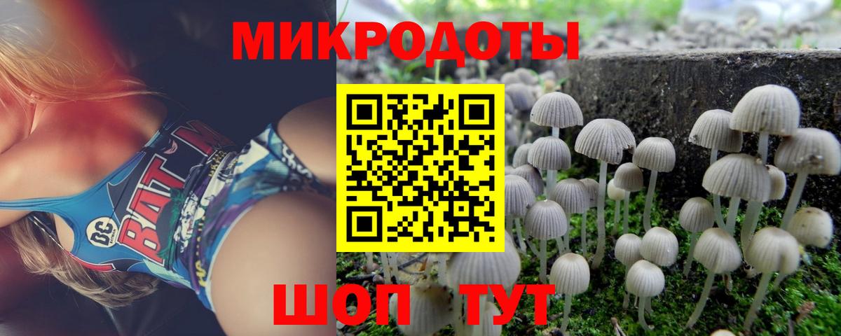 Псилоцибиновые грибы Cubensis Евпатория